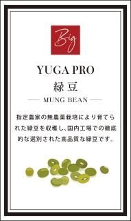 [YUGAPRO] Ʀ 2KG ̶̳