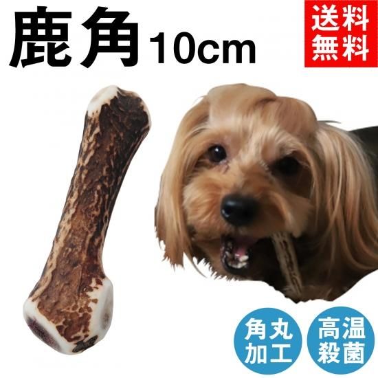 鹿の角から作られた犬用のおもちゃ ふるさと納税 シカのおとしもの 商い キミのたからもの Mサイズ