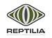 -Ʒ- White Rook (ۥ磻 롼) | REPTILIA (USA)