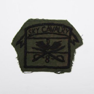 - 8th Air Cavalry Regiment  (USED)