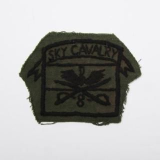 - 8th Air Cavalry Regiment  (USED)