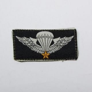 - Airborne Basic Jump Wing (USED)