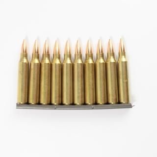 ≪USGI≫ ダミーカード 5.56mm 10発セット / 09年-HP (USED)