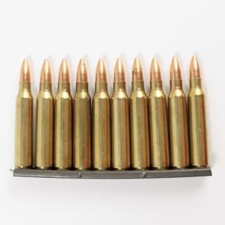 ≪USGI≫ ダミーカード 5.56mm 10発セット / 09年-FMJ (USED)