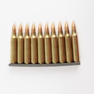 ≪USGI≫ ダミーカード 5.56mm 10発セット / 92年-FMJ (USED)