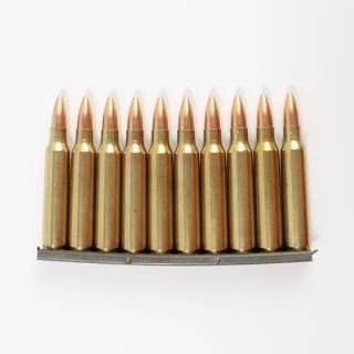 ≪USGI≫ ダミーカード 5.56mm 10発セット / 91年-FMJ (USED)