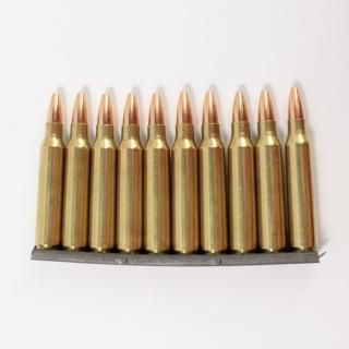 ≪USGI≫ ダミーカード 5.56mm 10発セット / 09年-SP (USED)