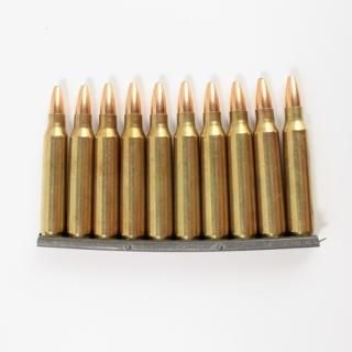 ≪USGI≫ ダミーカード 5.56mm 10発セット / 98年-SP (USED)