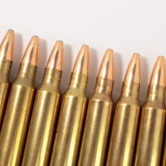 ≪USGI≫ ダミーカード 5.56mm 10発セット / 92年-SP (USED)