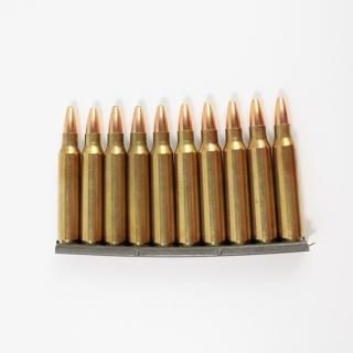 ≪USGI≫ ダミーカード 5.56mm 10発セット / 92年-SP (USED)