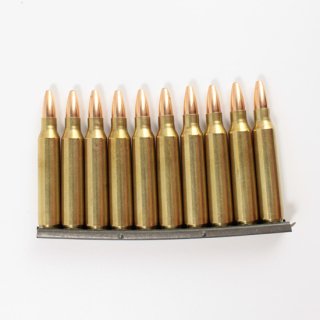 USGI ߡ 5.56mm 10ȯå / 91ǯ-SP (USED)