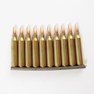≪USGI≫ ダミーカード 5.56mm 10発セット / 91年-SP (USED)