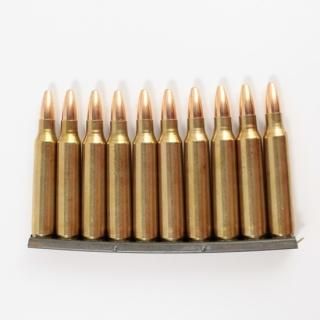 ≪USGI≫ ダミーカード 5.56mm 10発セット / 87年-SP (USED)