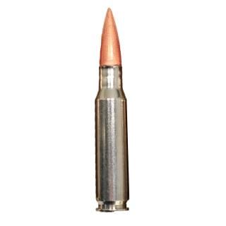 ≪FederalCartridge≫ ダミーカード.308WIN (USED)