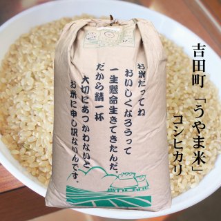令和５年度兵庫県産 きぬむすめ 30kg玄米※精米可 本州・四国・九州は送料無料