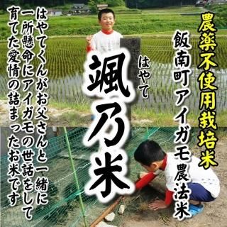 ̸ơ6ǯ Ի Įˡơǵơץҥ긼1kg 纬зĮ̵ͥ˥ΥɷԻ