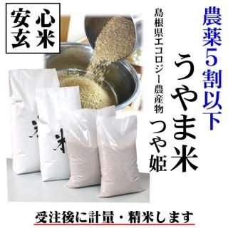<img class='new_mark_img1' src='https://img.shop-pro.jp/img/new/icons12.gif' style='border:none;display:inline;margin:0px;padding:0px;width:auto;' />ơ̸ơ5ʲ 7ǯ ޤͥʪ Į֤ơץĤɱ 1kg 纬ԵĮ̱ëˢͥ˥ΥɷԻ ̤긼
