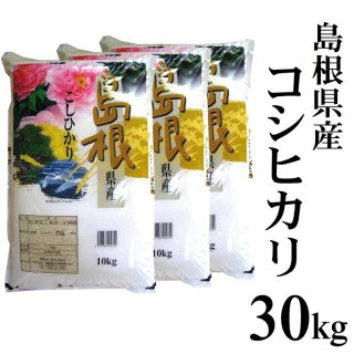 【クリアランス特価品】令和2年産 島根県産コシヒカリ白米30kg（10kg×3）