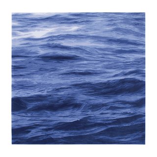 UMI - Dark Blue (L)