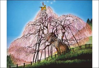 三春の滝桜 -福島-