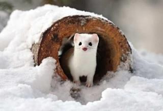 <img class='new_mark_img1' src='https://img.shop-pro.jp/img/new/icons13.gif' style='border:none;display:inline;margin:0px;padding:0px;width:auto;' /> 