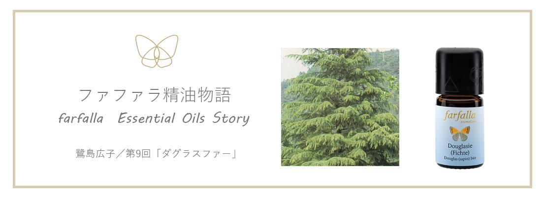 饹ե