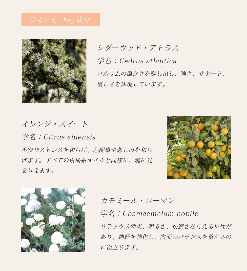 FFLʤĤ褤ʬ