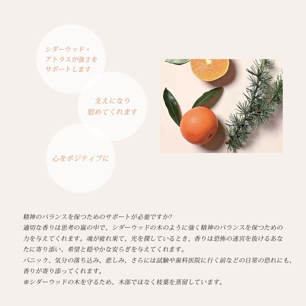 FFLʤĤ褤