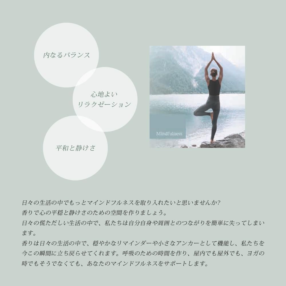 FFL(マインドフルネス説明)