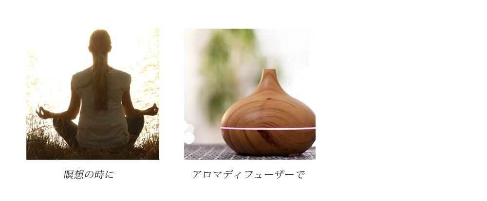 FFLޥɥեͥޥ֥ɡʻȤ