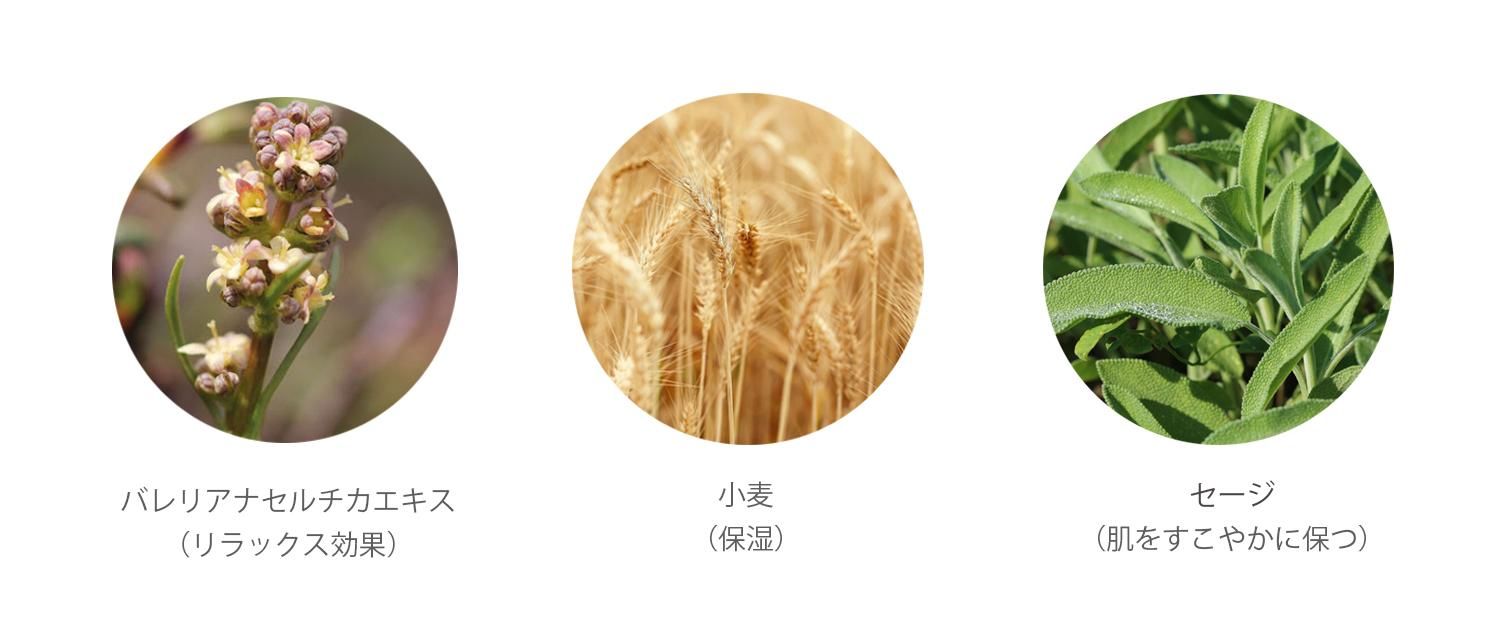 SPK󥺥ʥʬ