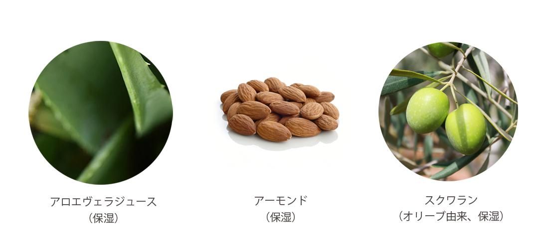 STV饷å꡼饤ʬ
