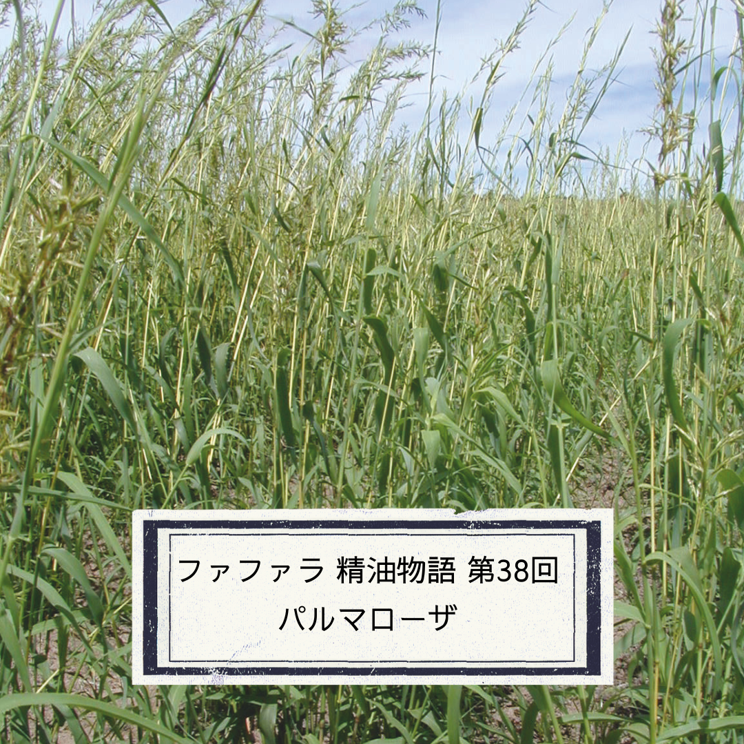 ファファラ パルマローザBIO［精油］