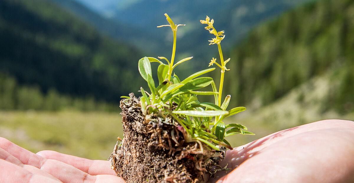 最終値下げ unico SANTI(サンティ) ラグ 120×180 最終値下げ unico SANTI(サンティ) ラグ 120×180