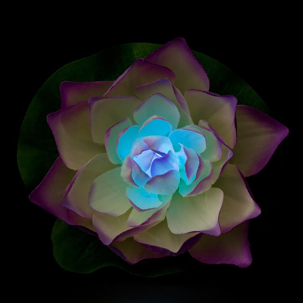ロータス～蓮花 はすはな～（紫） - Eclea(イークレア) | あなた