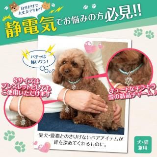 <img class='new_mark_img1' src='https://img.shop-pro.jp/img/new/icons25.gif' style='border:none;display:inline;margin:0px;padding:0px;width:auto;' />ŵšη뾽ڥåȥͥå쥹