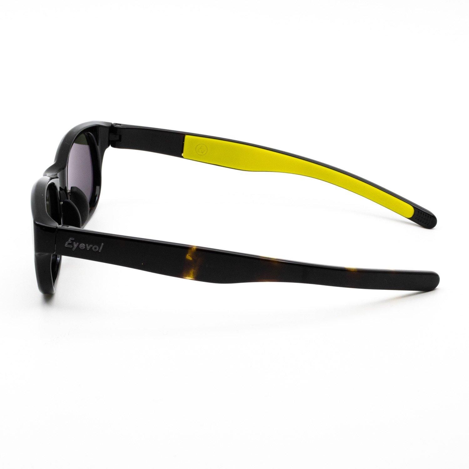 Eyevol アイヴォル DAMON デイモン Eyevol サングラス | 【Eyevol】 DAMON（52） デイモン52 NTL-DG-DK