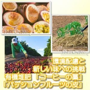 パイナップルハニー パッションフルーツ　イメージ