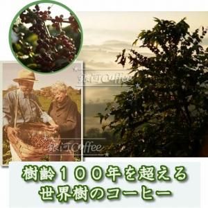 Υҡ 100ǯ᡼