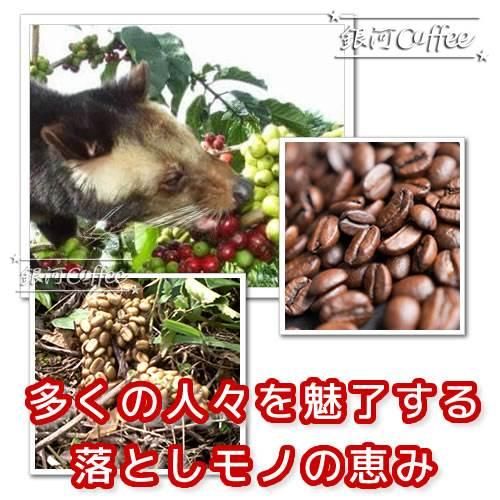 コピ・ルアック ジャコウネコの体内で発酵 オーガニック 銀河 コピ・ルアック ジャコウネコの体内で発酵 オーガニック 銀河