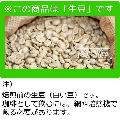 生豆 コピ・ルアック ジャコウネコの体内で発酵 オーガニック 生豆 コピ・ルアック ジャコウネコの体内で発酵 オーガニック
