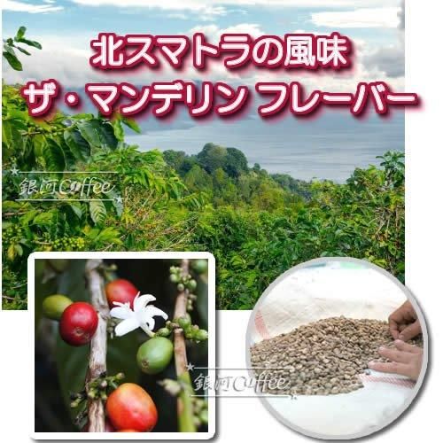 生豆 ビッグマンデリン 苦味とコクを堪能 銀河コーヒー