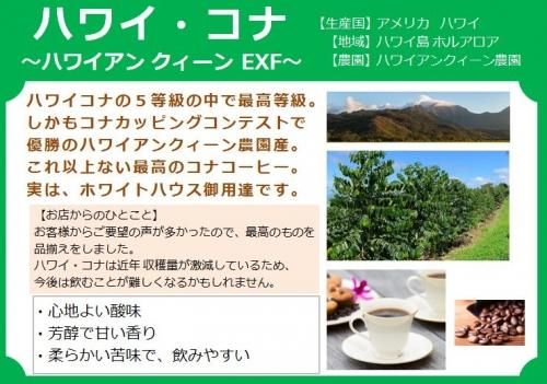 ハワイコナ ハワイアンクイーン 最高等級コナコーヒー 銀河コーヒー