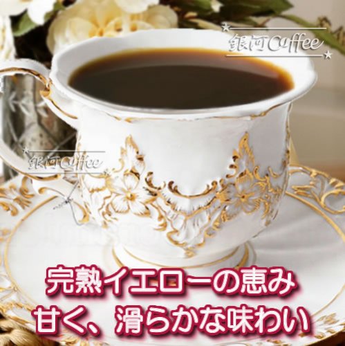 アマレロ イエローブルボン 銀河コーヒー