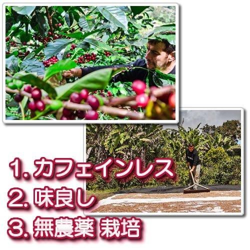 ラ・プラデーラ デカフェ オーガニック 銀河コーヒー ラ・プラデーラ デカフェ オーガニック 銀河コーヒー