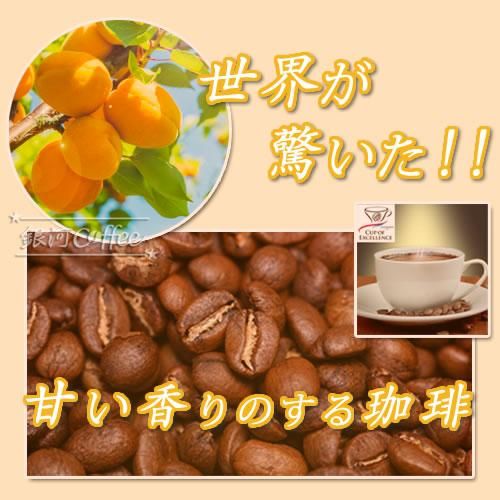 生豆 アプリコット アプリコットの甘~い香り 銀河コーヒー 生豆 アプリコット アプリコットの甘~い香り 銀河コーヒー