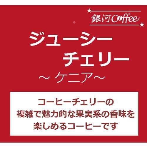 塼꡼ ʥ˥ 
