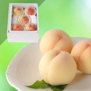 【超特級】岡山白桃 5玉 約1.5キロ