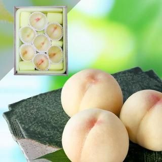 Ķ 󥵡 78 2.3kg (Ȣ)