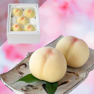 【超特級 光センサー厳選】清水白桃 5玉 約1.5キロ